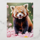 Suche nach glücklicher panda postkarten Lustig