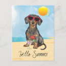 Recherche de chien teckel cartes postales Doxie