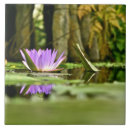 Suche nach teich fliesen Lila