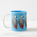 Recherche de perroquet gris tasses Africain