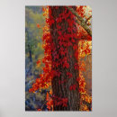 Suche nach strampler poster Baum