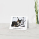 Suche nach alberne katze karten Kätzchen
