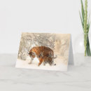 Suche nach winter alle karten Tiere