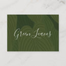 Recherche de motif feuille cartes visite Nature