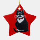 Recherche de chat de smoking Illustration
