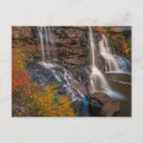 Recherche de occidental cartes postales Forêt