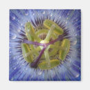 Suche nach leidenschaft magnete Natur