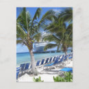 Suche nach schilfe postkarten Strand