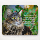 Recherche de chat tapis souris Ragondin