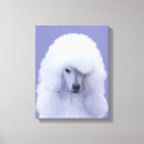 Recherche de caniche c art Pour tous