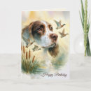 Recherche de springer spaniel Canine