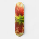 Recherche de papillon skateboards Blanc