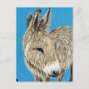 Recherche de ânes cartes postales Animal de ferme