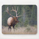 Suche nach gegner mousepads Stier