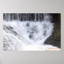 Recherche de basse posters Nature