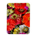 Recherche de dahlia magnets Floral