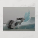 Suche nach icelande postkarten Europa