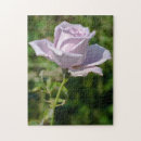 Suche nach lila rose puzzle Botanisch