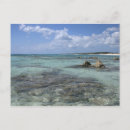 Suche nach cozumel postkarten Niemand