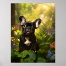 Recherche de bouledogue francais posters Frenchie