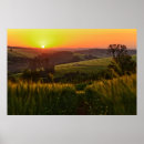 Suche nach getreide poster Sonnenuntergang