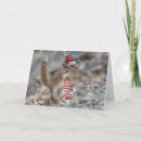Recherche de chipmunk christmas vœux cartes Chipmunks