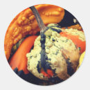 Recherche de gourdes autocollants Chute