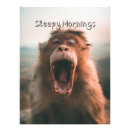 Suche nach coole affen poster Lustiger affe