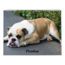 Suche nach englischen büro zubehör Englische bulldogge