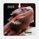 Recherche de animaux de zoo ornements Nature