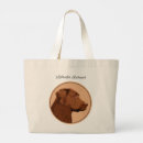Recherche de laboratoire de chocolat sacs Extracteur