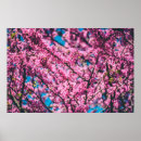 Recherche de vintage wildlife posters Landscape