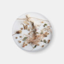 Suche nach getrocknet magnete Botanisch