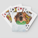 Suche nach lustiger hund spiele spielkarten Fotos