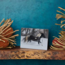 Suche nach laufen sie für ihr fotoplatten Bauernhof