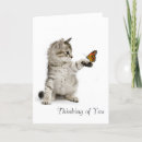 Suche nach katzenbild karten Haustier