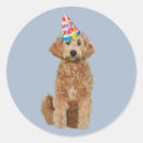 Suche nach gekritzel aufkleber Geburtstag