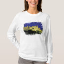 Suche nach languedoc tshirts Carcassonne