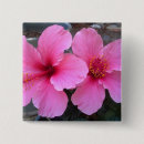 Recherche de fleurs roses de fleur badges Plantes