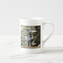 Recherche de pigeons tasses Nature