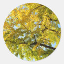Suche nach ginkgo aufkleber Herbst