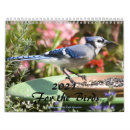 Suche nach kardinal kalender Blume