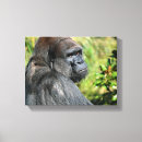 Suche nach gorilla leinwandbilder Silberfarben