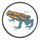 Suche nach poison Frog