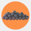 Suche nach blackberry aufkleber Nahrung