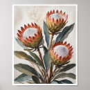 Suche nach protea blume poster Wohngestaltung