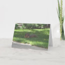 Recherche de saxo cartes postales Jazz