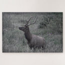 Recherche de wapiti puzzles Randonnée