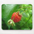 Suche nach rote himbeere mousepads Natur