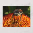 Recherche de fermeture cartes postales Macro